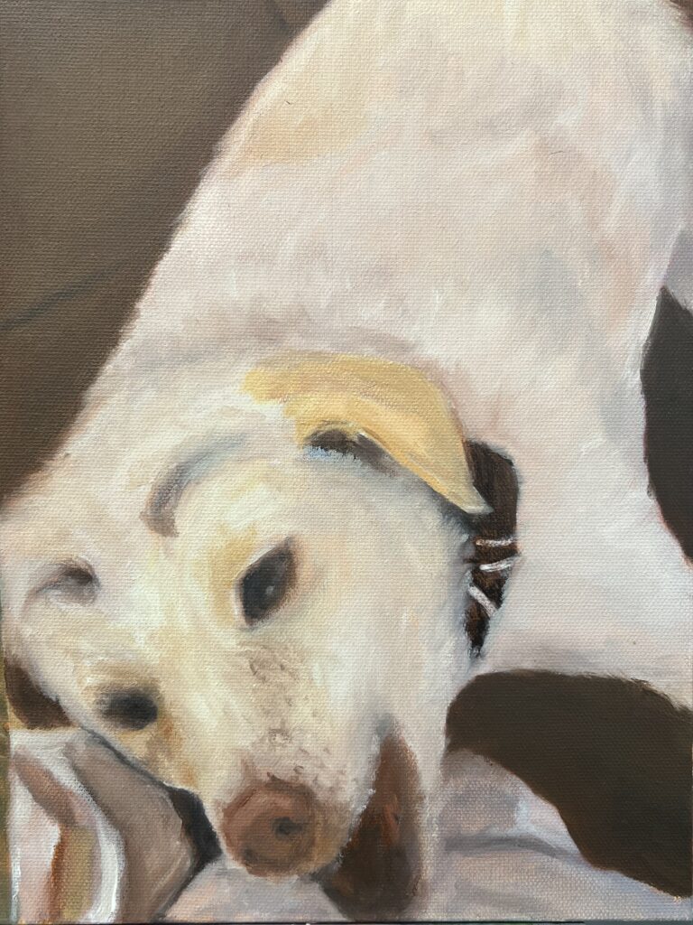 Ảnh của Trần Minh Trang – 2025-09-15 19:20:59