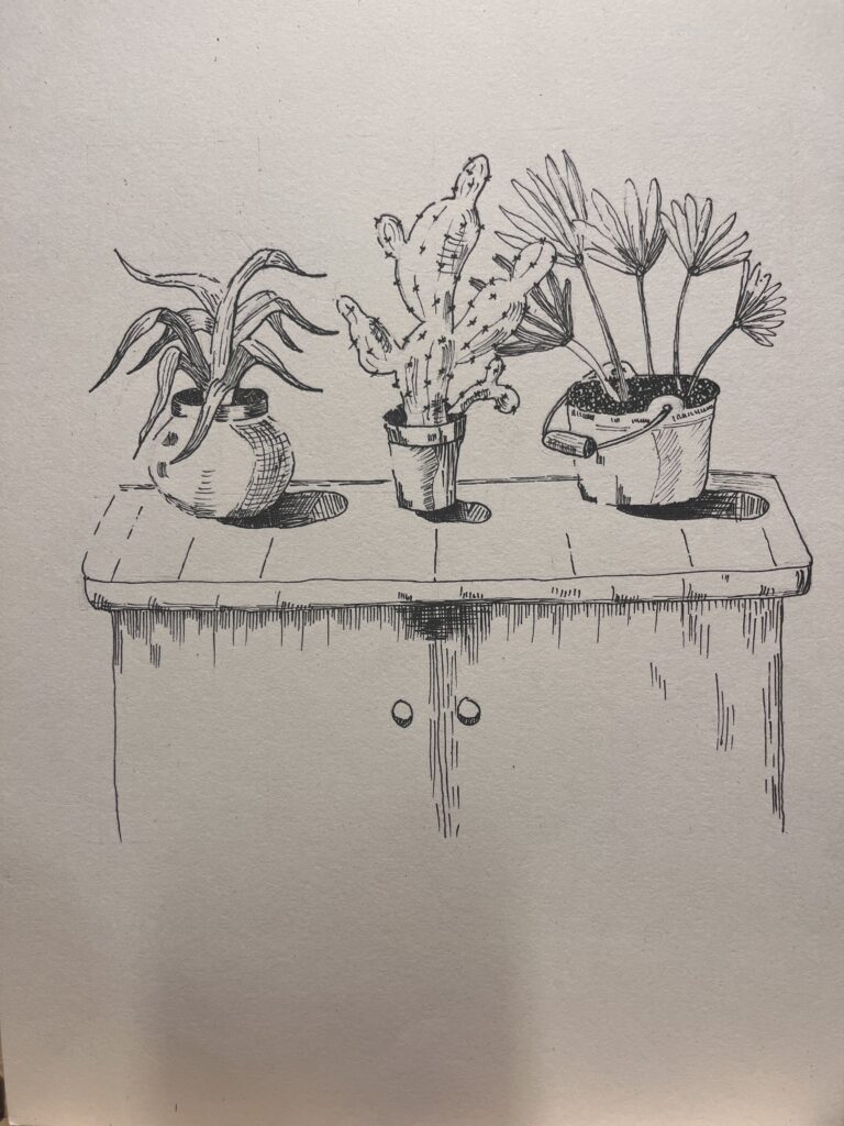 Ảnh của Trần Phương Linh – 2025-09-11 19:27:42