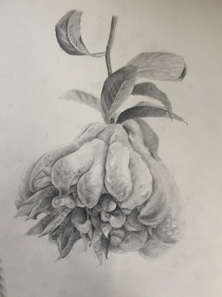 Ảnh của Nguyễn Vũ Hoan – 2025-09-16 11:58:28