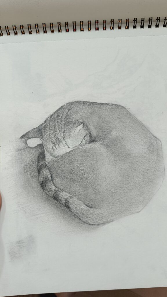 Ảnh của Mai Vân Khánh – 2025-09-12 16:57:10