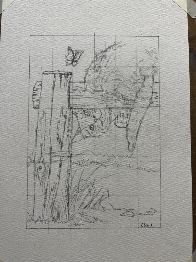 Ảnh của Van – 2025-09-17 04:24:12