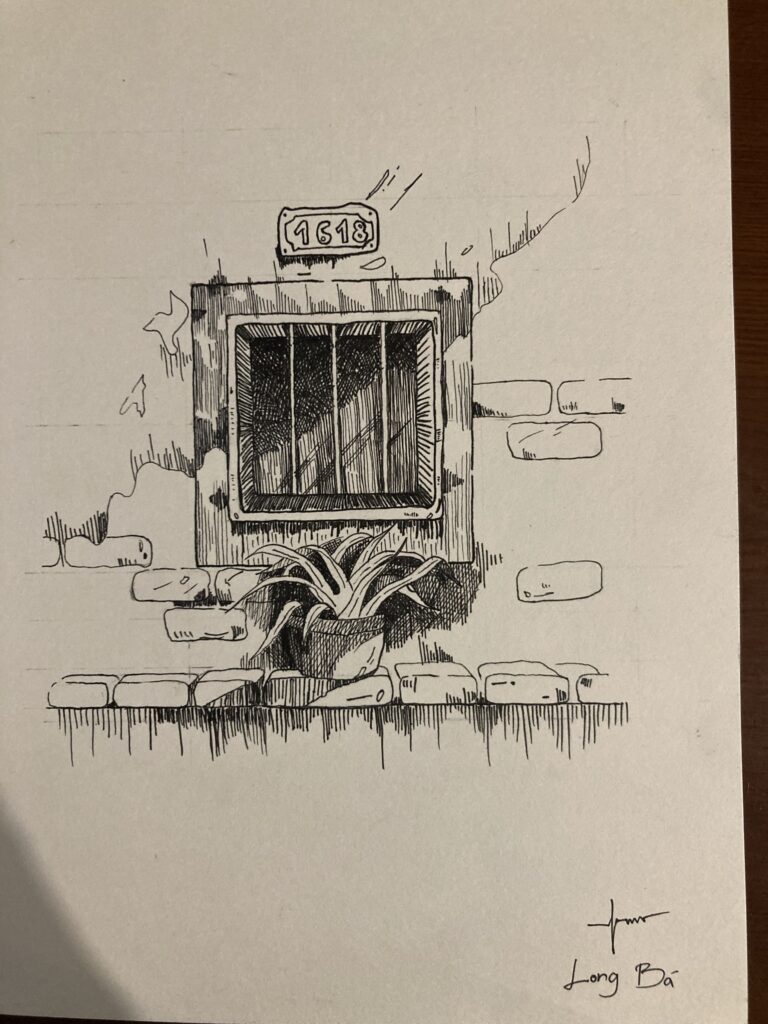 Ảnh của nguyễn bá long – 2025-09-13 20:58:06