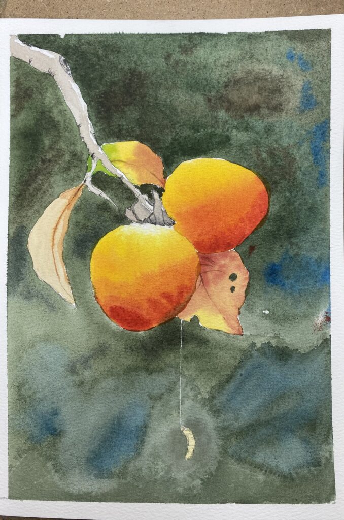 Ảnh của Nguyễn Thị Bích Ngọc – 2025-09-26 21:03:52