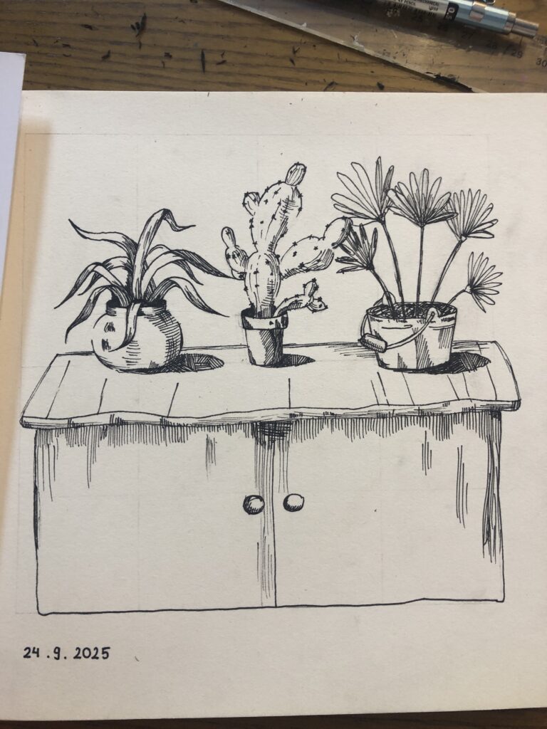 Ảnh của Phạm Minh Châu – 2025-09-24 21:02:49