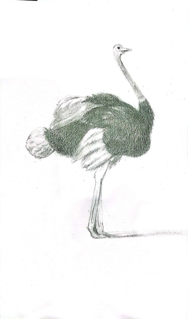 Ảnh của Trần Uyển Thanh – 2025-10-25 11:56:06