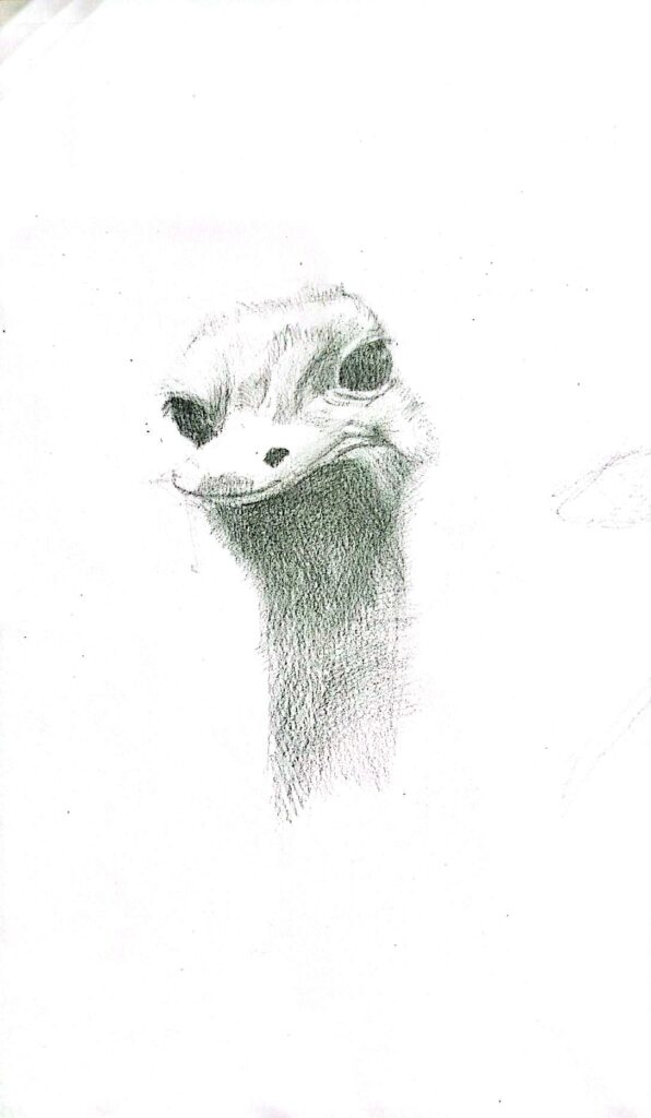 Ảnh của Trần Uyển Thanh – 2025-10-25 11:55:33