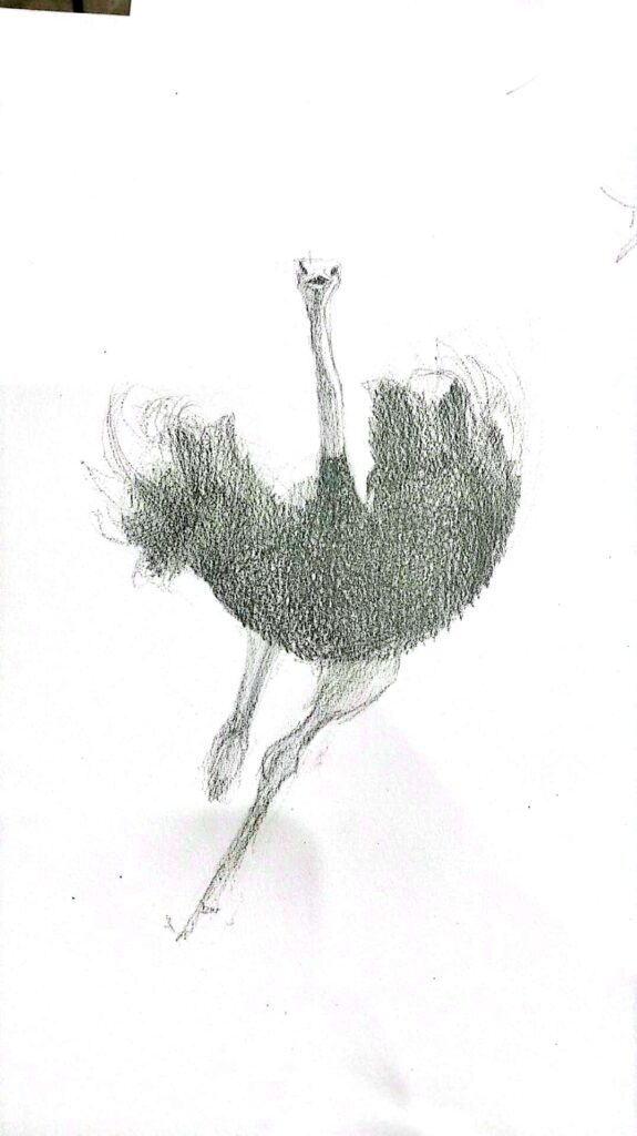 Ảnh của Trần Uyển Thanh – 2025-10-25 11:56:52