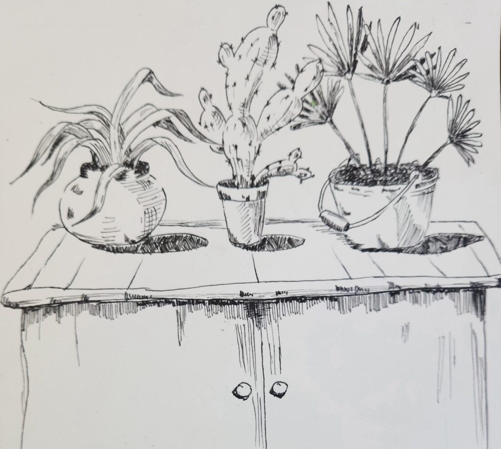 Ảnh của Phan Nhân Đức – 2025-10-04 17:13:22